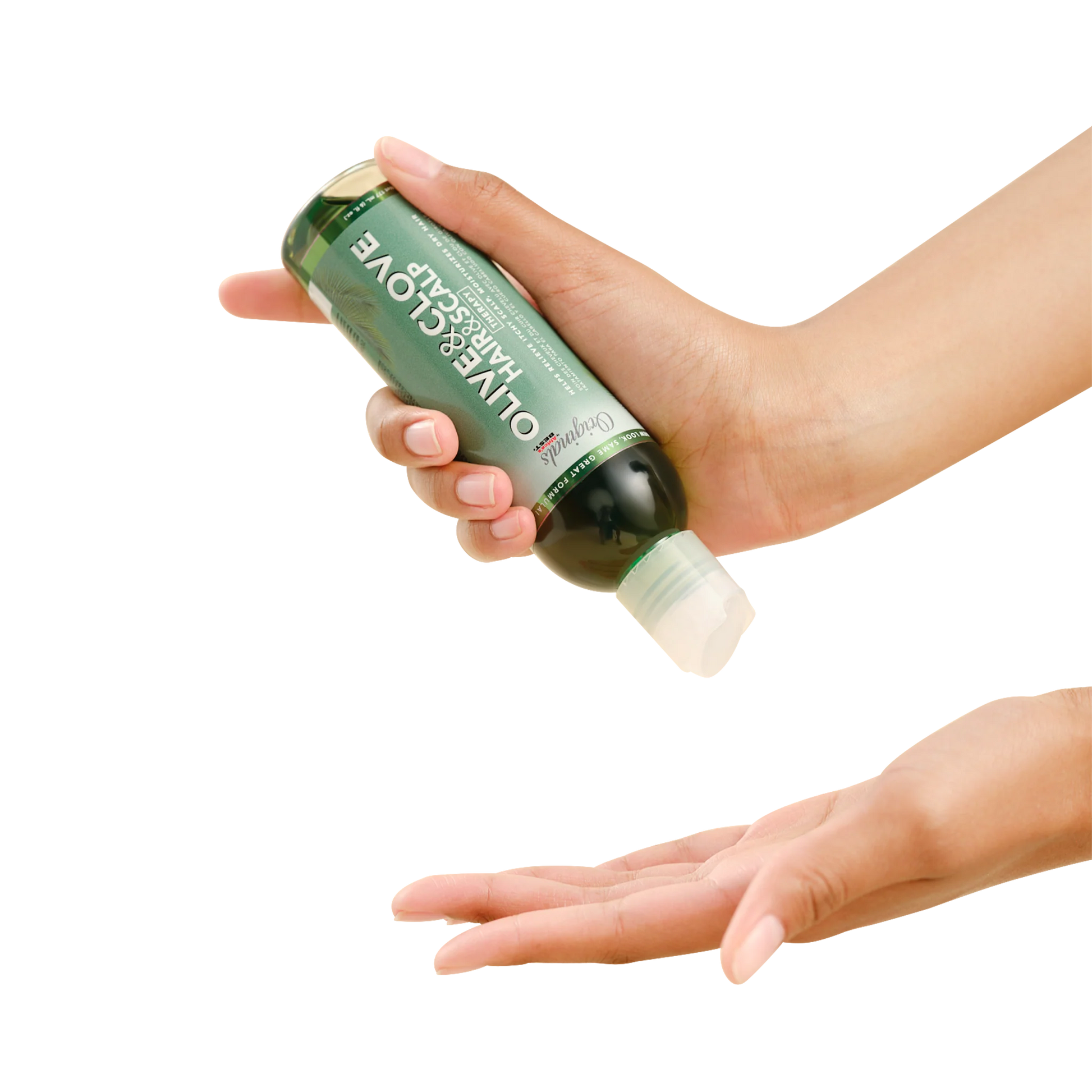 Africa's Best Organics Olive & Clove Hair & Scalp Oil Therapy
