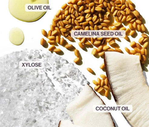 Ingredients for a skincare product arranged on a white background, including olive oil droplets, camelina seed oil, xylose, and coconut oil slices, with text labels identifying each ingredient.