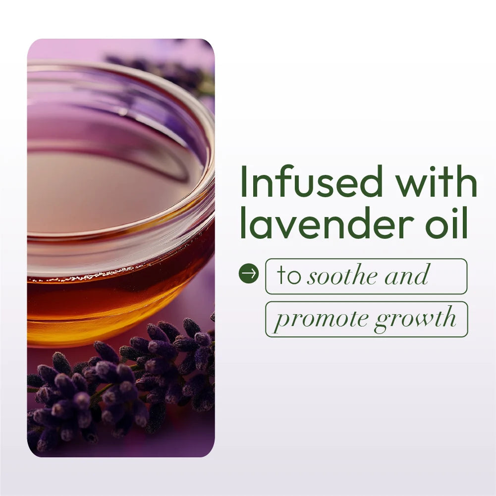 Glass of lavender-infused oil with lavender flowers on a light purple background