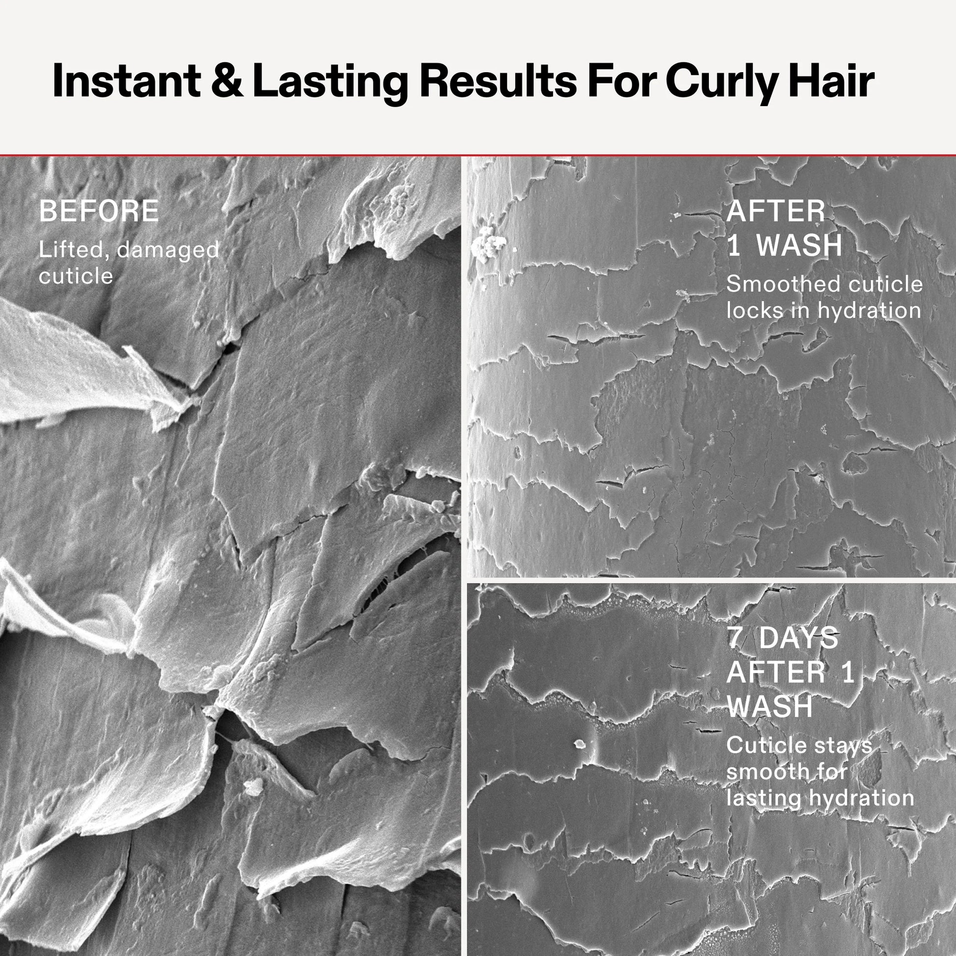 Before and after comparison of curly hair cuticle damage and hydration with text indicating results.