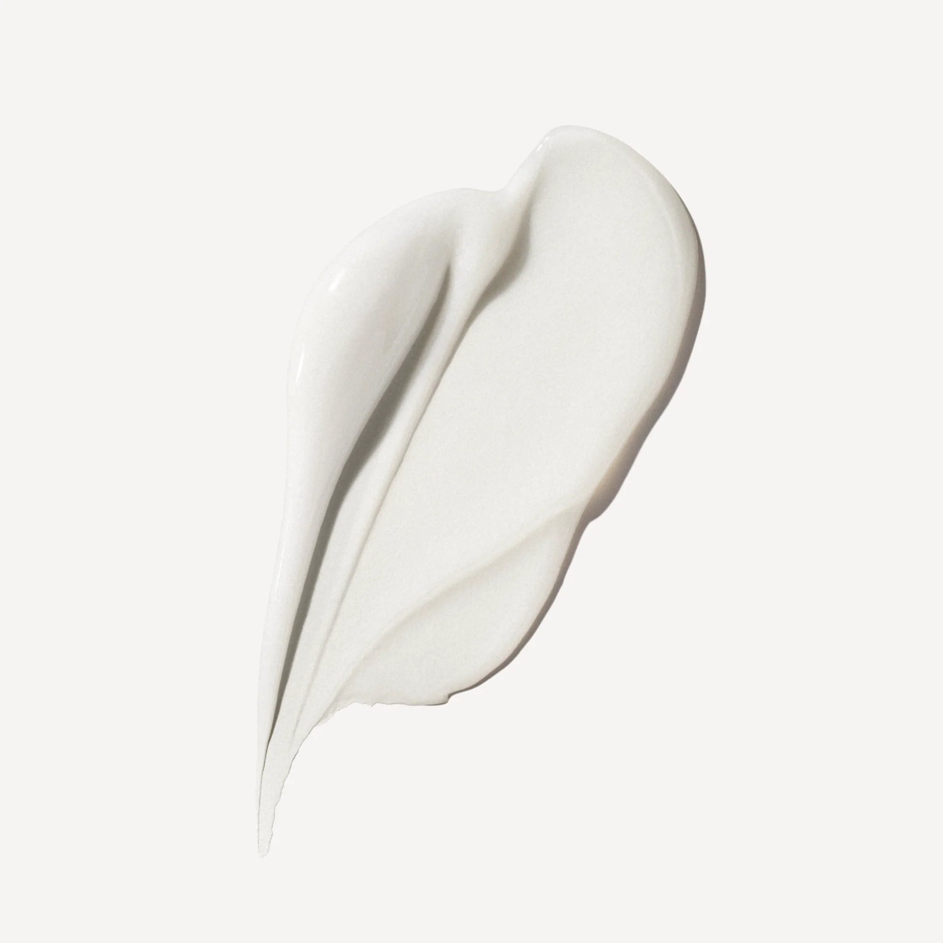 White feather on a light gray background