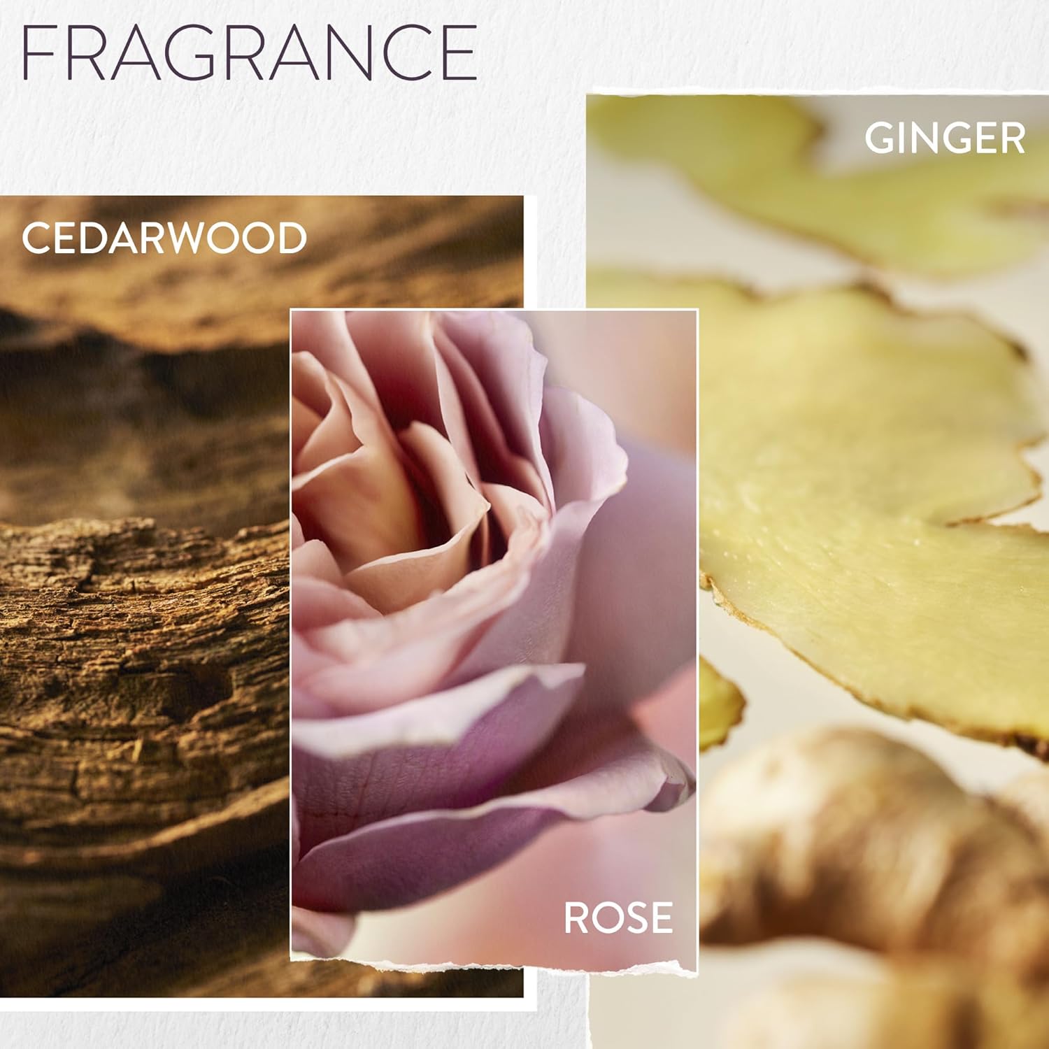 Collage of fragrances with cedarwood, ginger, and rose.