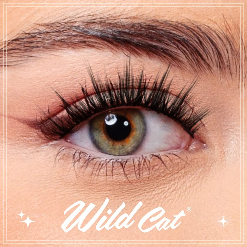 Close-up of a human eye wearing long, dark, curled eyelashes, with a visible 'Wild Cat' brand mark at the bottom on a light beige background.