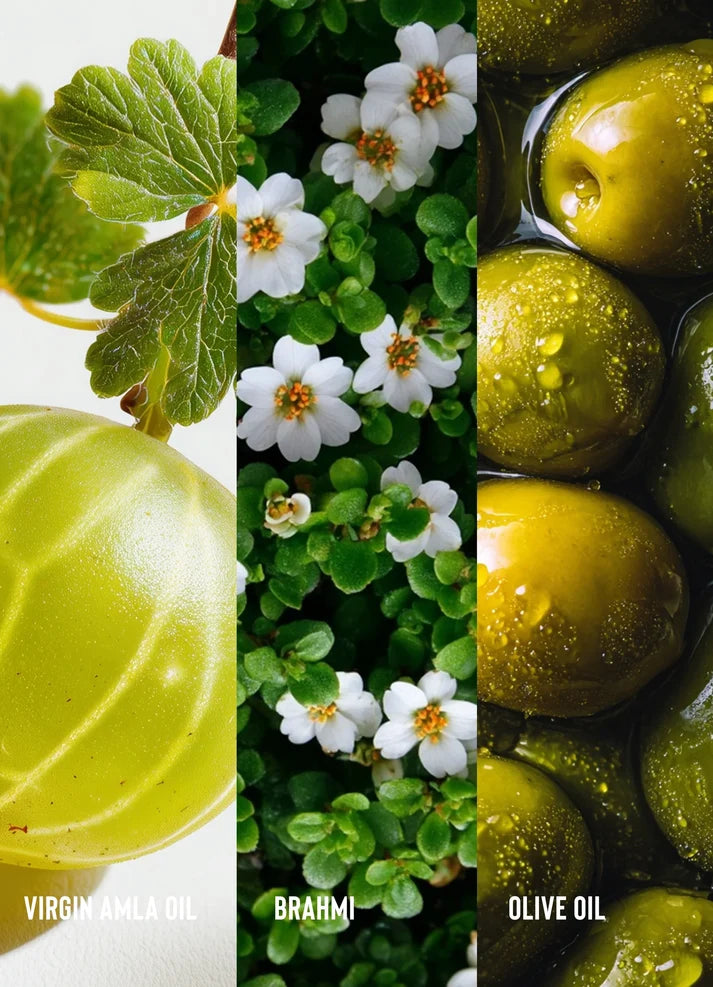 Three sections showing amla oil, brahmi, and olive oil with corresponding labels.