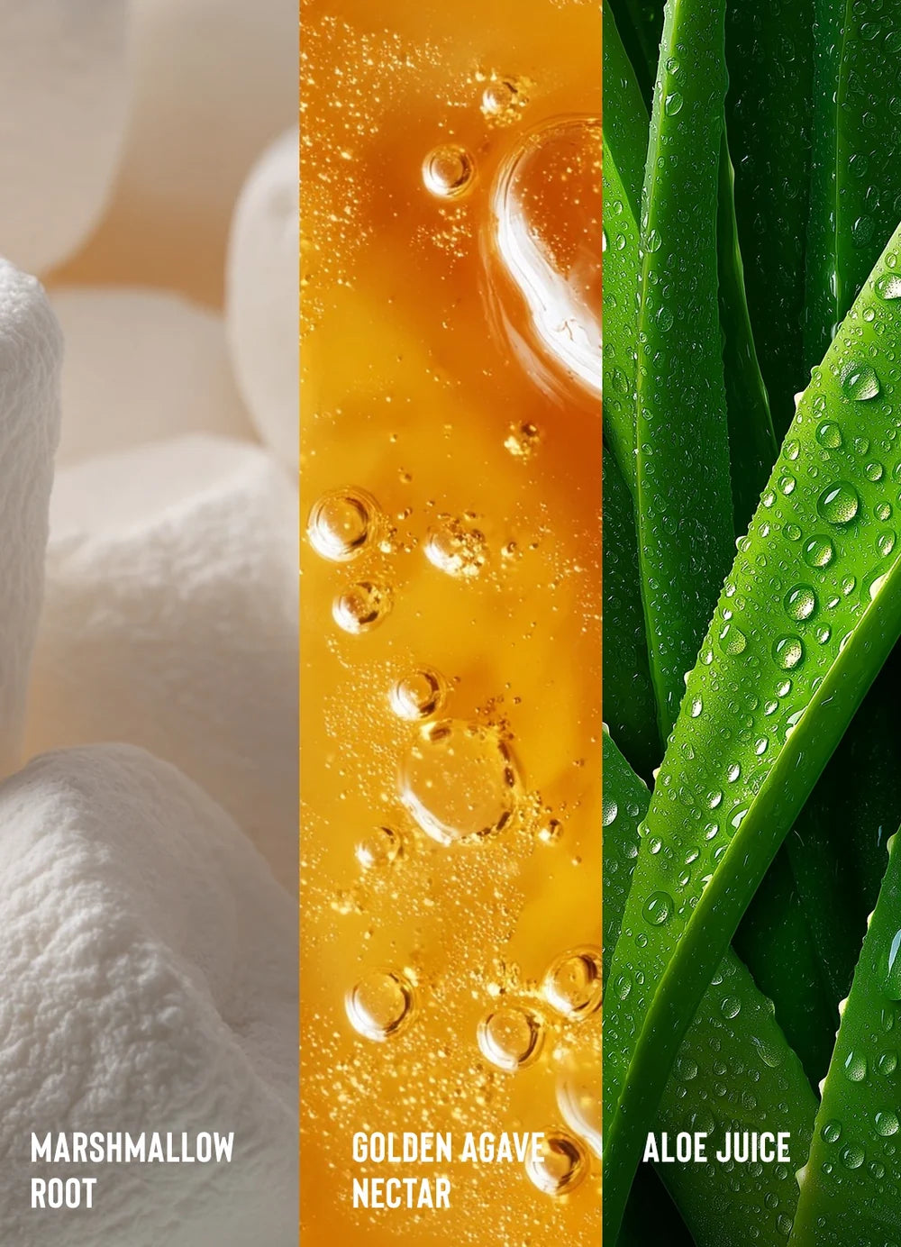 Three vertical panels labeled 'Marshmallow Root', 'Golden Agave Nectar', and 'Aloe Juice' with corresponding images of each.