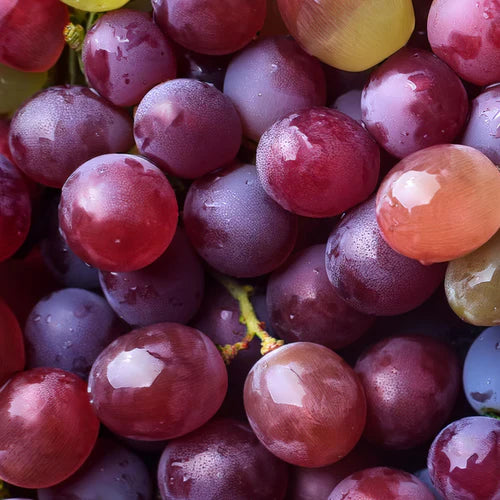 Close-up of red and green grapes with water droplets