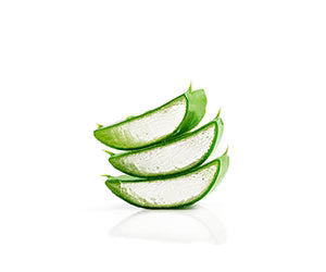 Sliced aloe vera leaves on a white background