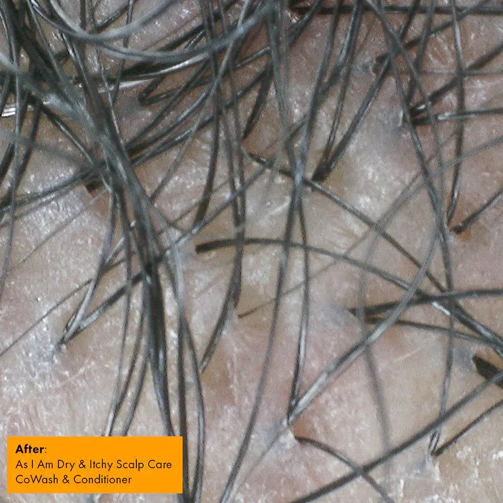 As I Am - Dry & Itchy Co-Wash *NEW FORMULA*