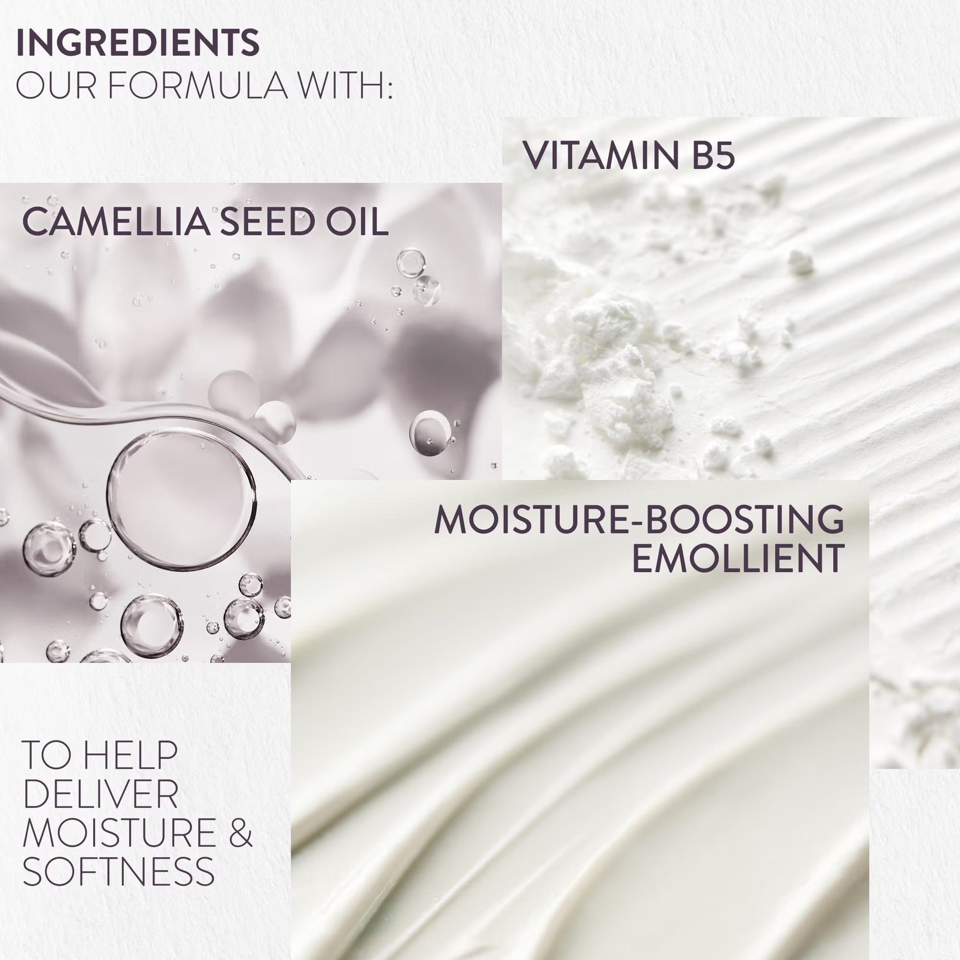 Ingredients of a skincare product with Camellia Seed Oil, Vitamin B5, and Moisture-Boosting Emollient.