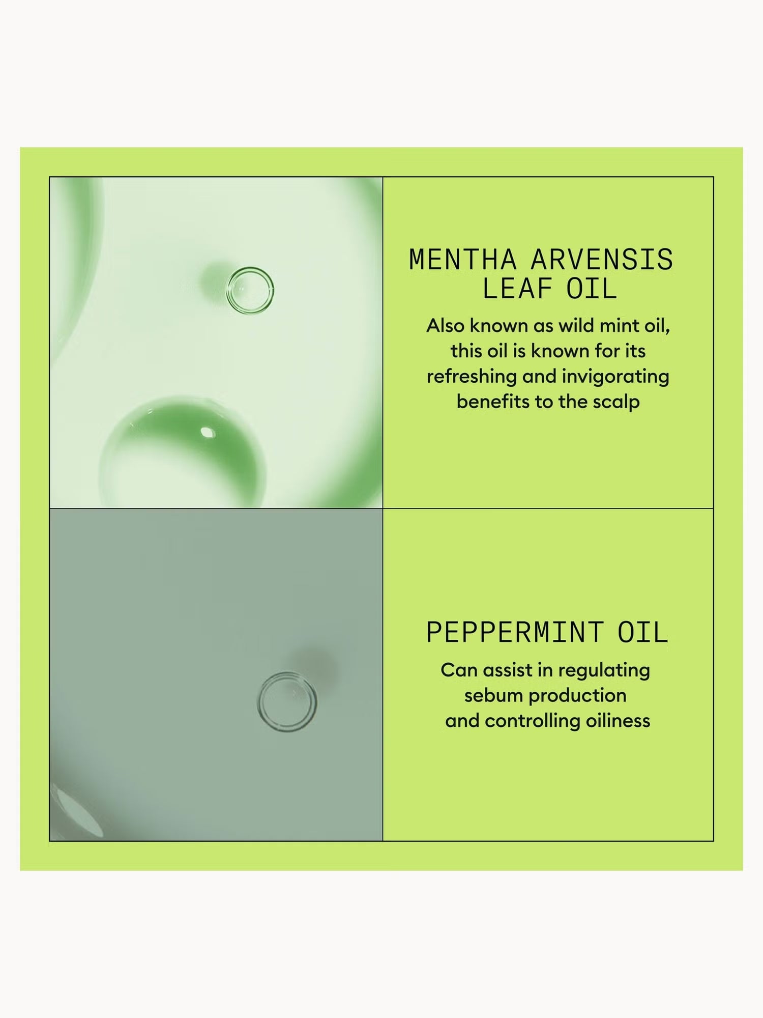 Product packaging with text about Mentharaevisis leaf oil and peppermint oil on a green background.