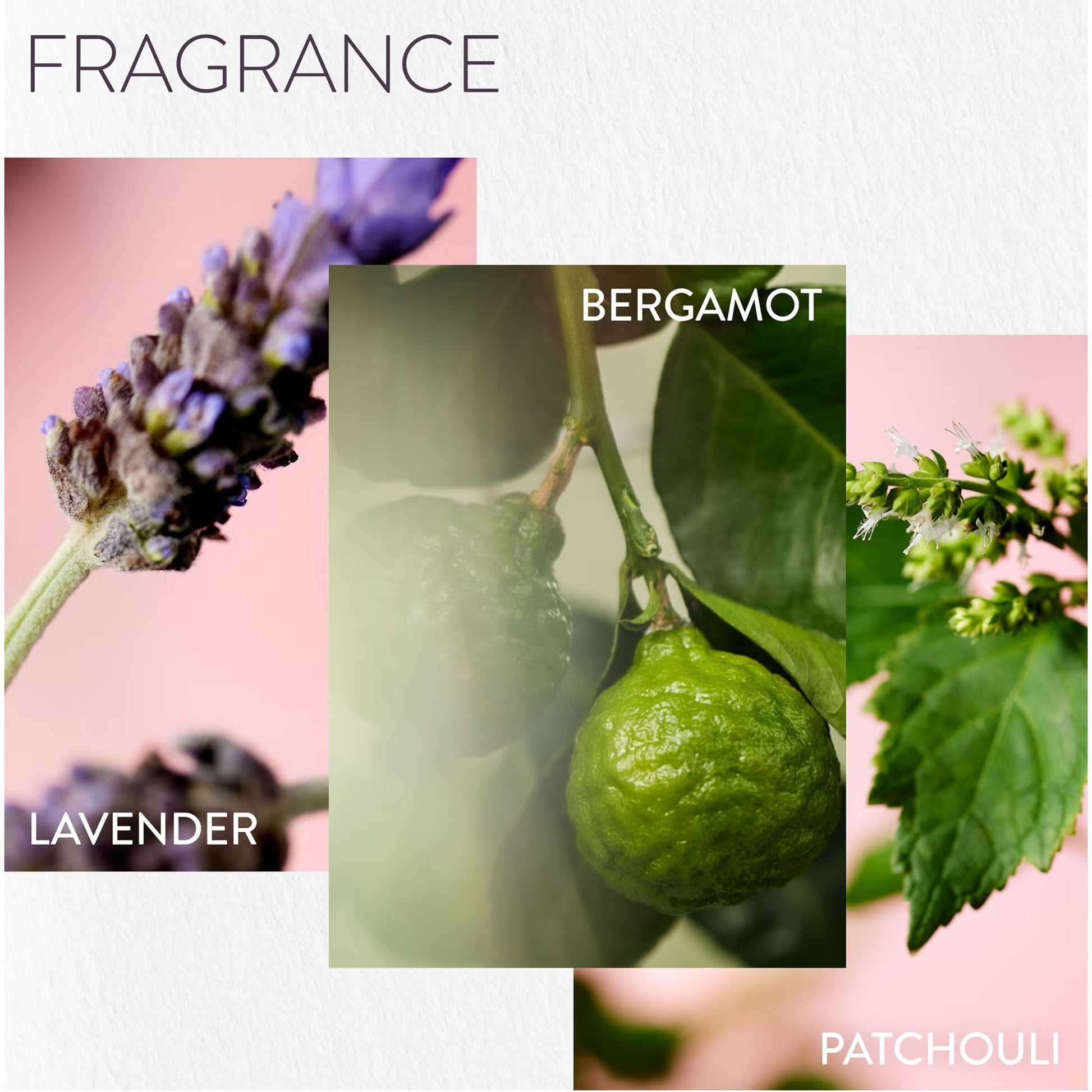 Collage of lavender, bergamot, and patchouli with text indicating their names.