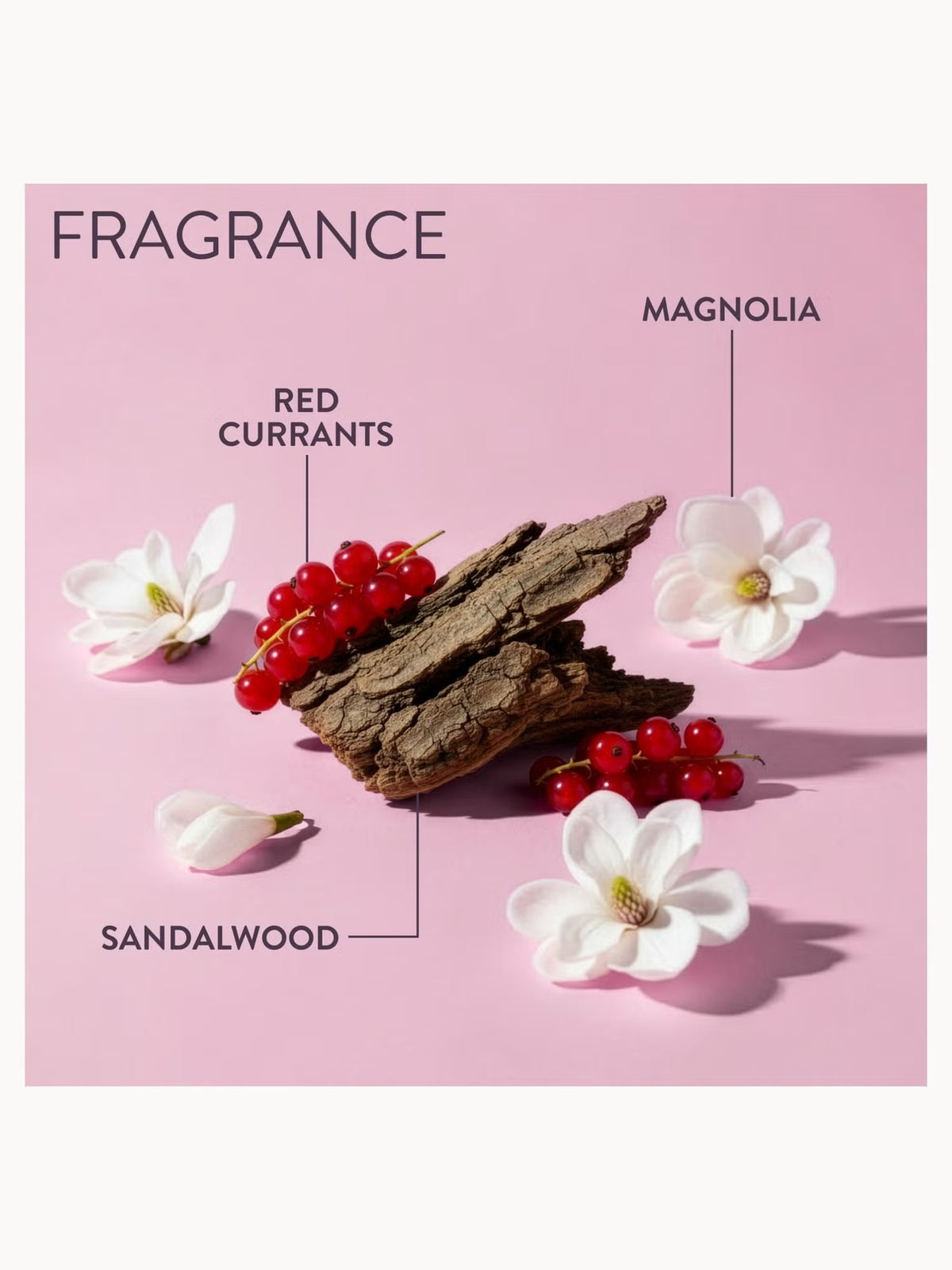 A fragrance concept graphic on a pink background showing a piece of driftwood with red currants, labeled 'FRAGRANCE', 'RED CURRANTS', 'MAGNOLIA', and 'SANDALWOOD'.