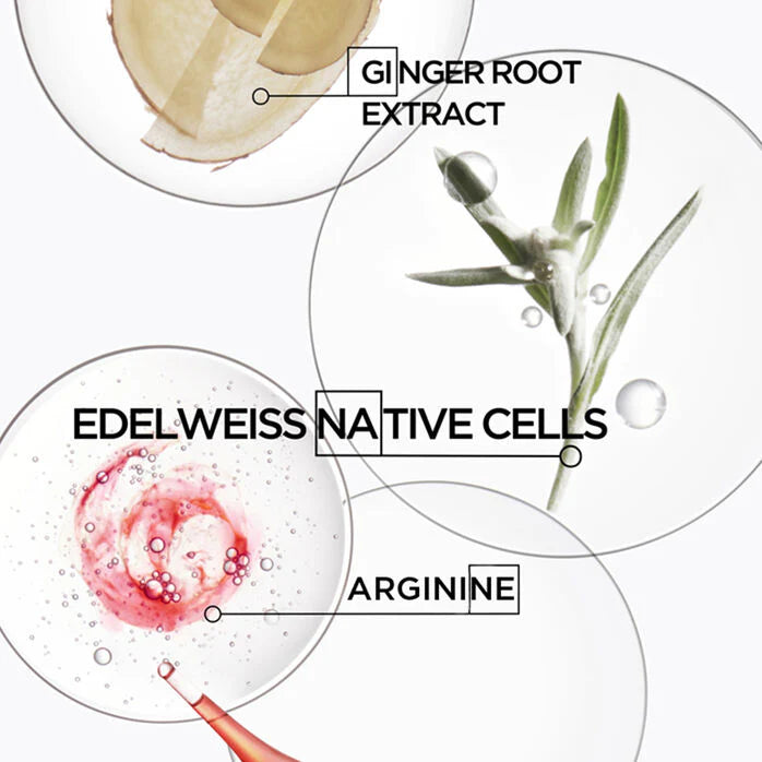 Diagram of ingredients including ginger root extract, edelweiss native cells, and arginine on a white background.